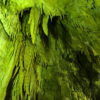 大滝鍾乳洞のアイキャッチ画像