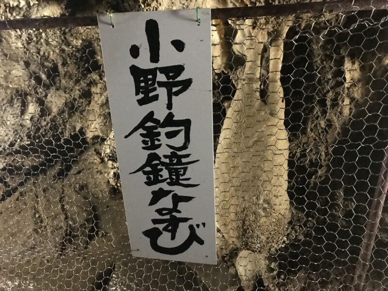 大滝鍾乳洞の「小野釣鐘なすび」