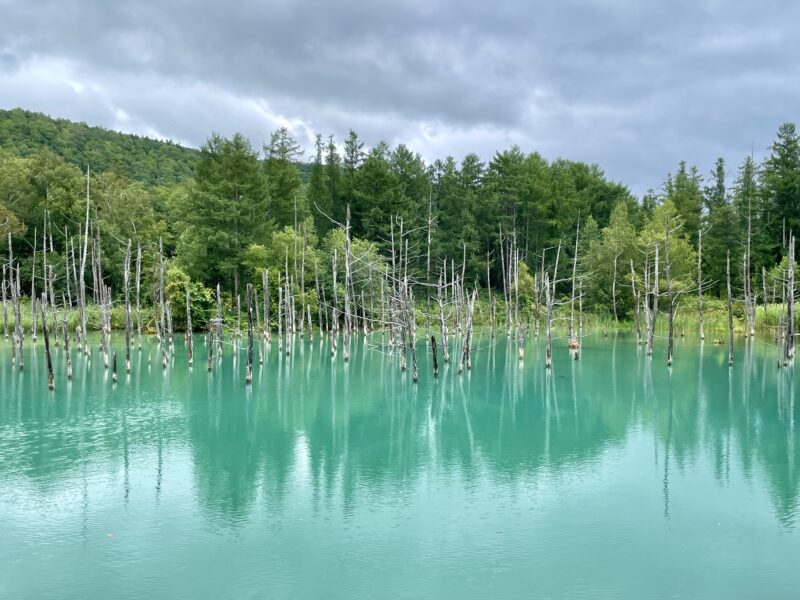 青い池