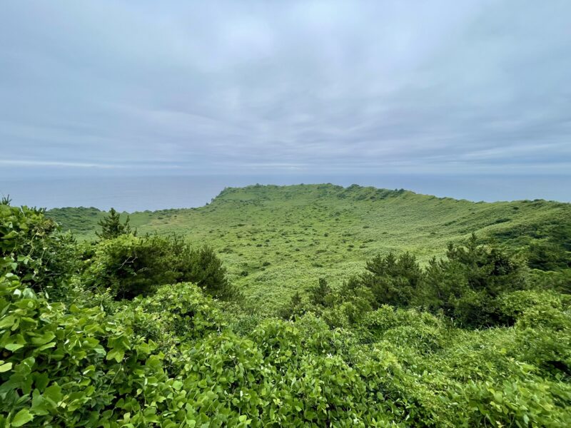 城山日出峰の頂上からの緑の景色